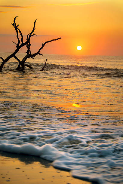 istock Incoming Tide at Botany Bay Beach 459955639