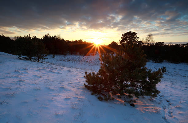 istock beautiful sunset over snowy winter forest 459955735