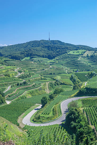 istock Kaiserstuhl Wine region,Black Forest,Germany 459956063
