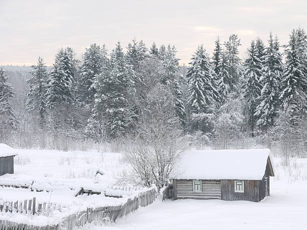 istock wooden house in a snowy forest 459956411