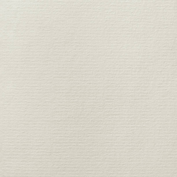 istock Cotton Rag paper, natural texture background, copy space beige sepia 459956829