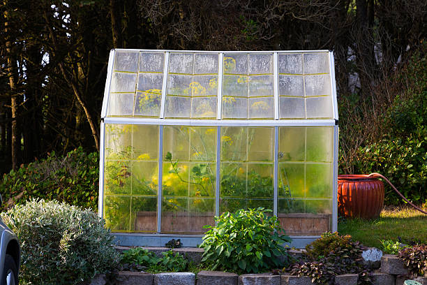 istock Greenhouse Garden Oregon 459959763