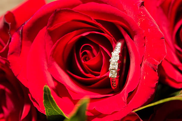 istock Wedding Rings and Red Flowers 459961735