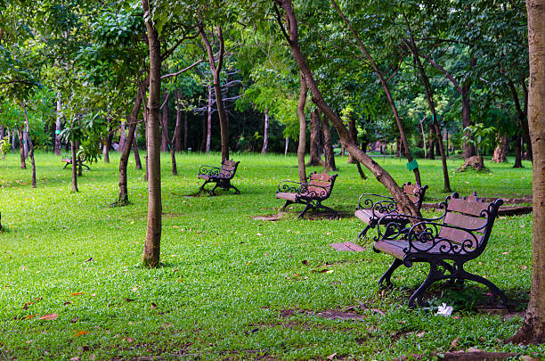 istock Benches in beautiful green park 459961849