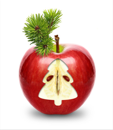 Red apple with pine tree sprig isolated on white background.