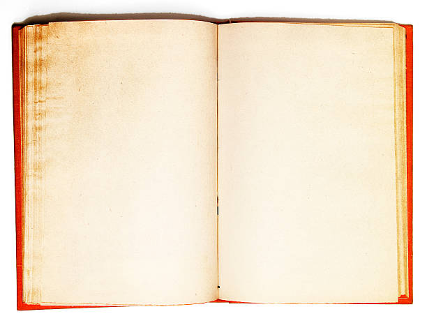 istock Old book`s broadside with blank shabby pages. BIG 459966337