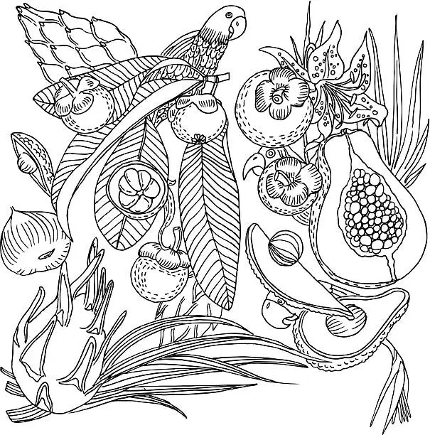 Vector illustration of Fruit Background