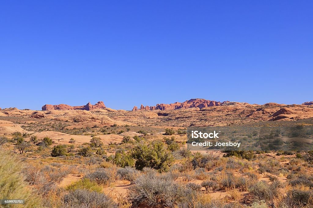 Parque Nacional Arches paisagem - Foto de stock de Algarobeira royalty-free