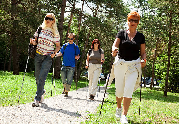 istock Nordic Walking tour 459970767