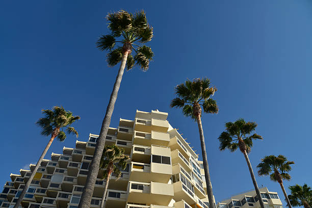 istock Marbella holiday apartments and Palm trees. 459972265