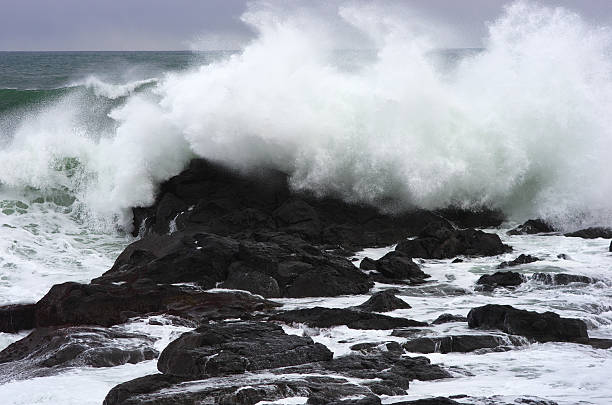 Free Stock Photo of Ocean Waves Crashing Against Black Rocks | Download ...