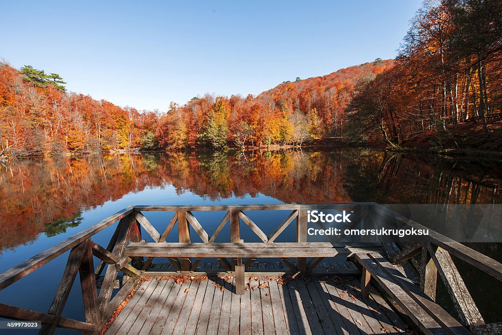 Lago en el bosque - Foto de stock de Parque Nacional Yedigöller libre de derechos