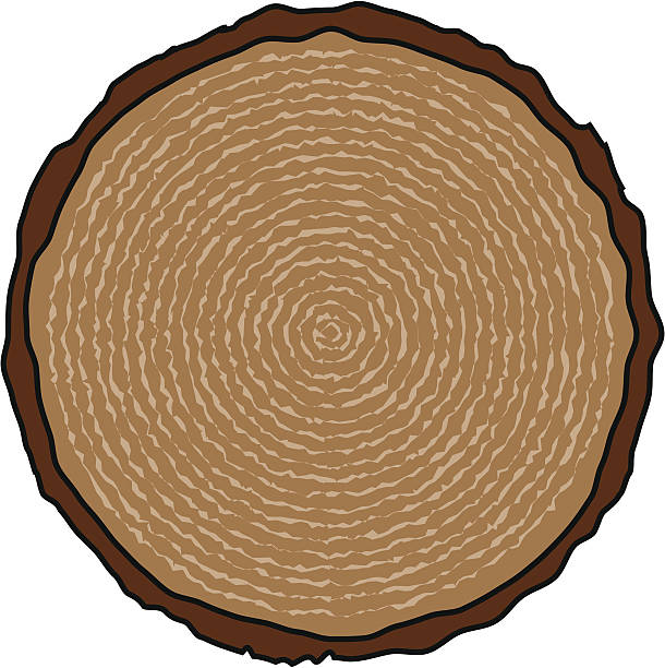 годичное кольцо - wood lumber industry tree ring wood grain stock illustrations