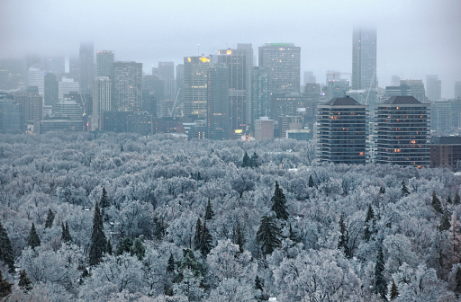 Toronto, Сanada - December 22, 2013: Major Ice Storm and freezing rain covered trees in midtown ravines with ice and snow in early morning, with downtown core office buildings in foggy clouds.