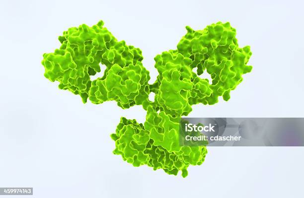 免疫体分子 - 免疫体のストックフォトや画像を多数ご用意 - 免疫体, 医薬品, たんぱく質