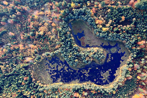 Aerial photo of a forest lake. Autumn stock photo