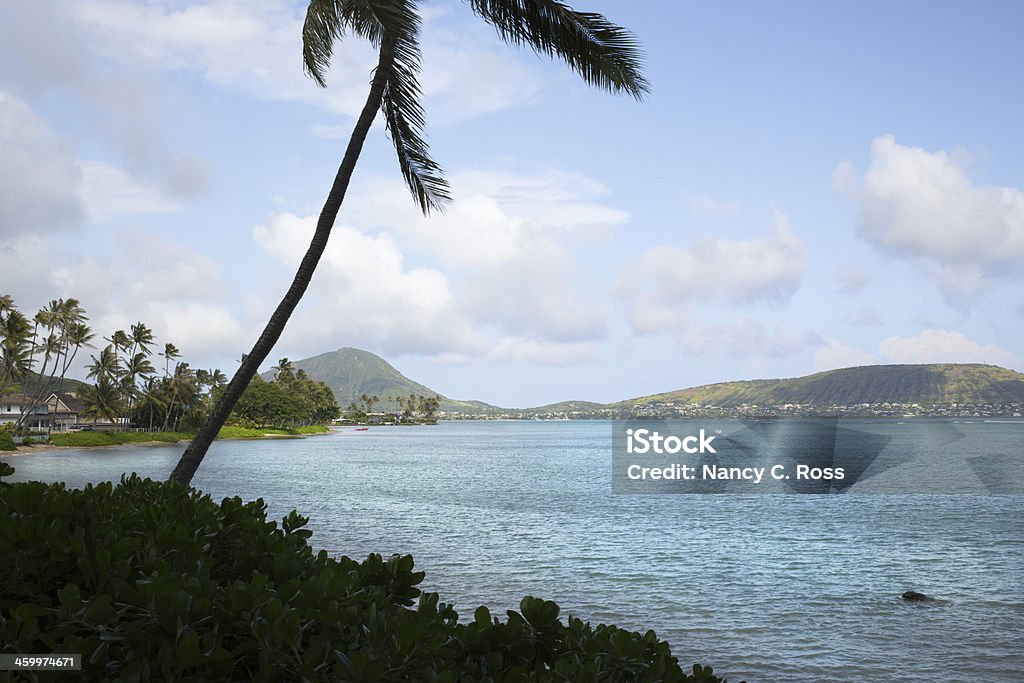 Гавайская Bay с Silhouetted Пальма на переднем плане - Стоковые фото Без людей роялти-фри