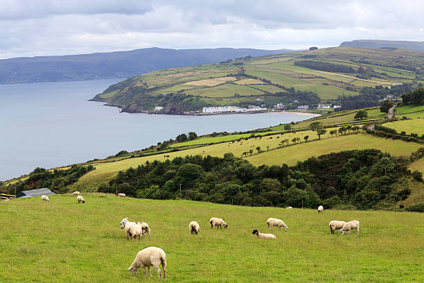 village by the lake, Ireland.