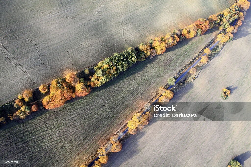 Aerial photo of a autumn trees Aerial view. Poland, Pomeranian province Bytów, http://marcinskiba.nazwa.pl/darek/forest.jpg Above Stock Photo