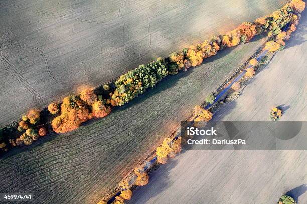 Aerial Photo Of A Autumn Trees Stock Photo - Download Image Now - Above, Aerial View, Agricultural Field