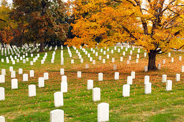 otoño en el cementerio nacional de arlington - cemetery grave military beauty in nature fotografías e imágenes de stock