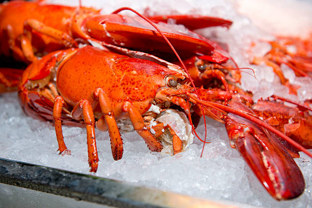 istock Big fresh lobster in the white plate fot dinner 459979397