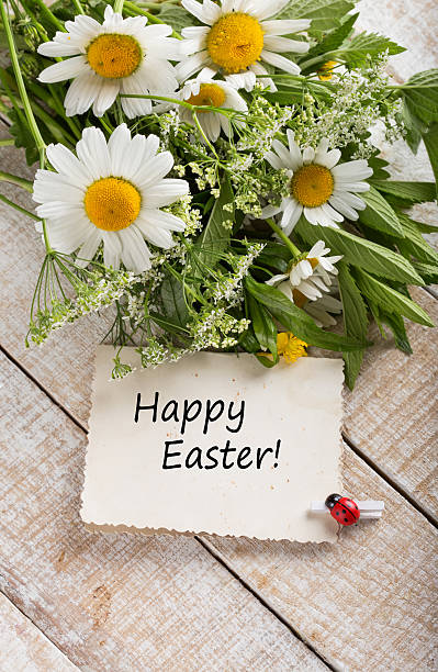 istock Postcard with elegant  wild  flowers 459979643
