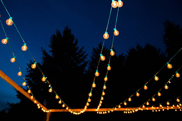 istock Hanging Strands of Lights 459980199