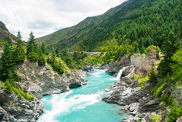 rivière kawarau et la forêt, à queenstown, nouvelle-zélande - kawarau river photos et images de collection