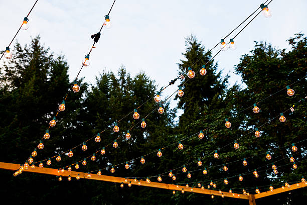 istock Hanging Strands of Lights 459981813
