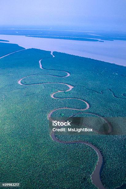The Mahakam Delta In East Kalimantan Stock Photo - Download Image Now - Delta, River, Aerial View