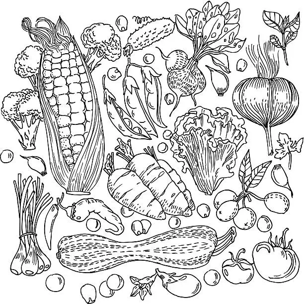 Vector illustration of Vegetable Background