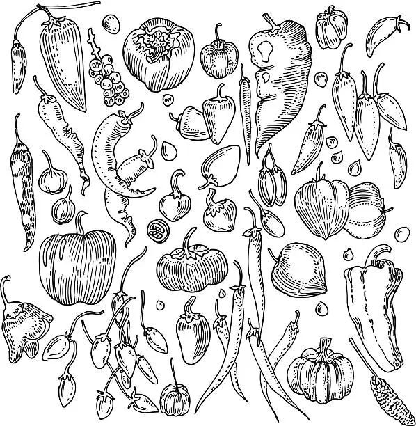 Vector illustration of Vegetable Background