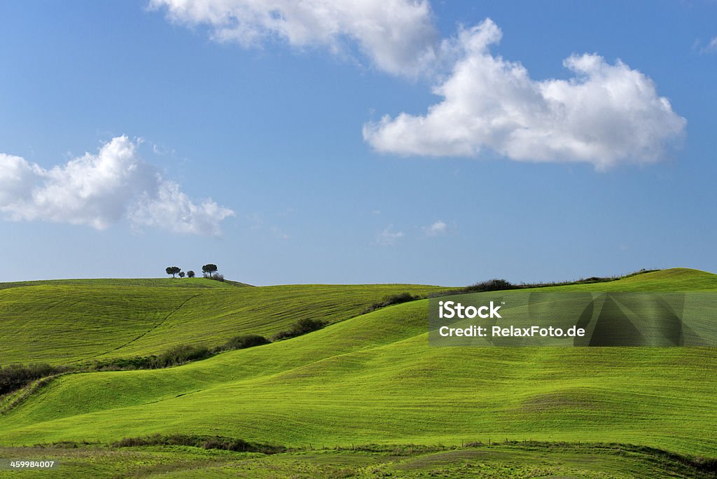Green hills, le ciel bleu, les nuages blancs, paysage en Toscane, Italie - Photo de Bleu libre de droits