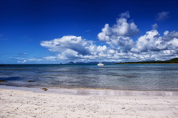 하얀 모래 해변, 말티니크 카리브계 - grande anse des salines beach 뉴스 사진 이미지
