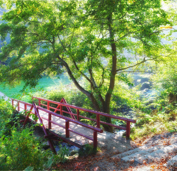 istock Bridging the gap between man and wild 459988147