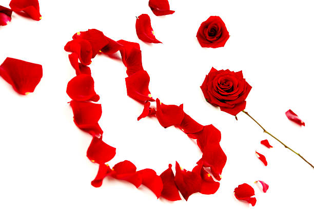 istock Red rose petals in a heart shape 459993083