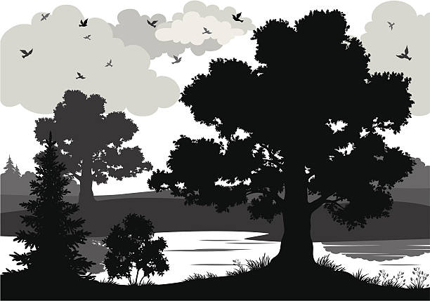 landschaft mit bäumen und fluss und vögel silhouette - bush bird tree wood stock-grafiken, -clipart, -cartoons und -symbole