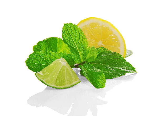 istock slices of lemon and lime with fresh mint 459995513