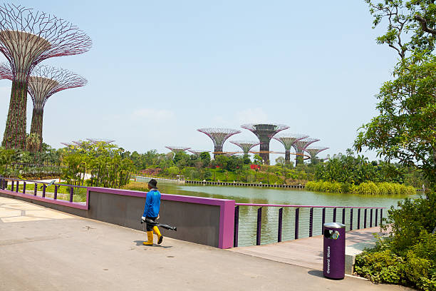 청소기요 in 가든바이더베이 - editorial asia singapore park 뉴스 사진 이미지