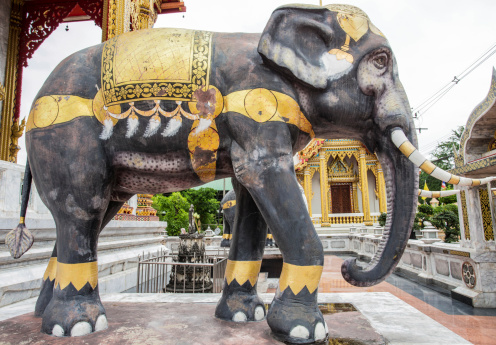 Elephant statues at Watsamiennari in thailand