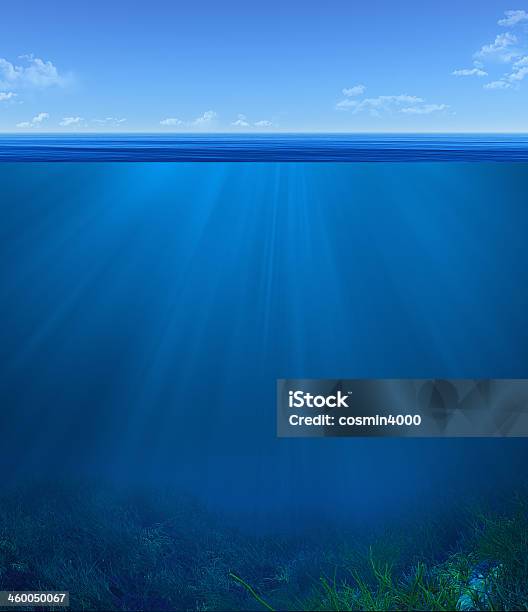 Paisagem Subaquática - Fotografias de stock e mais imagens de Fundo do mar - Fundo do mar, Alga marinha, Azul