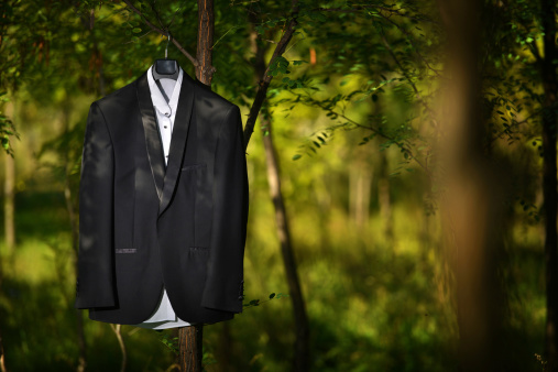 Groom tuxedo hanged in a tree, nature