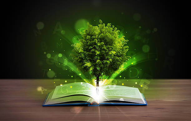 istock Open book with magical green tree and rays of light 460079223