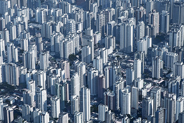 istock Sao Paulo city 460080459