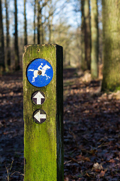 istock Straight on or left Horseback Riding Sign 460082063