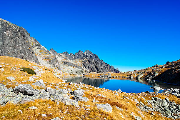 istock Vysoke Tatry, High Tatra Mountains 460082429