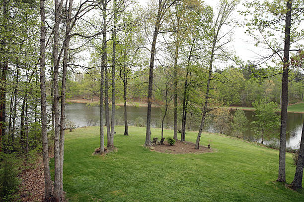 istock Lake in American Suburbs 460099251