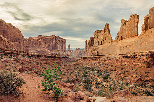 istock Desert Landscape in Arches National Park 460131757