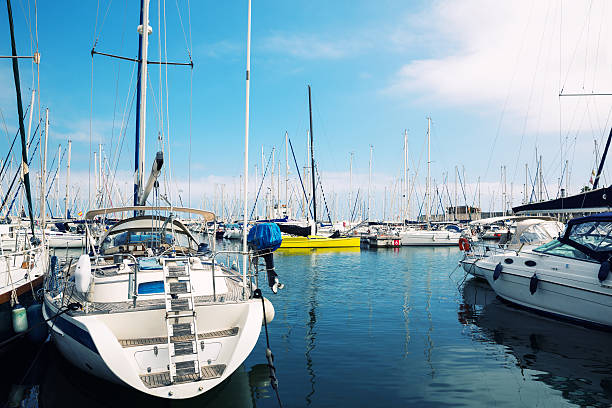 istock Sailboats in harbor 460133383